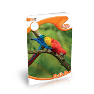 Atlas A4 Book CR 80Pgs (#) Square Ruled